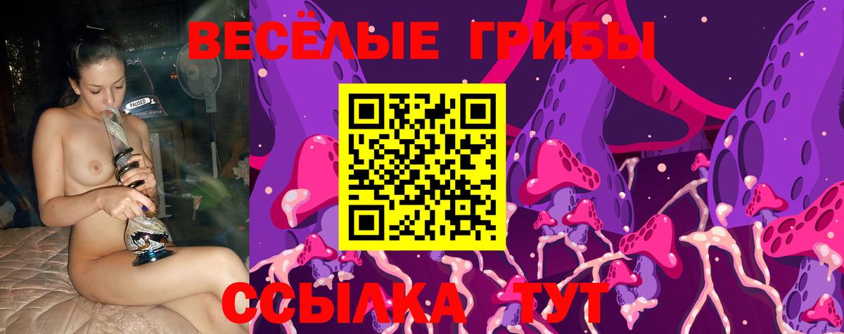 Галлюциногенные грибы Magic Shrooms Ставрополь