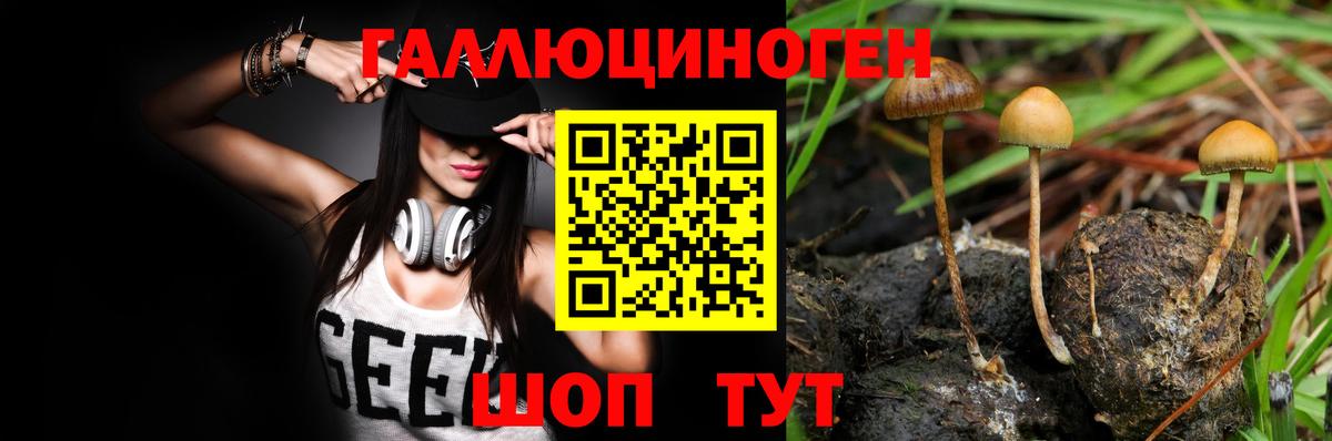Галлюциногенные грибы GOLDEN TEACHER  Псилоцибиновые грибы ЛСД  Ставрополь  Вход с VPN 